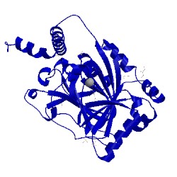Image of CATH 4bio