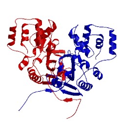 Image of CATH 4bj4