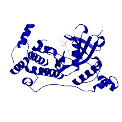 Image of CATH 4bl1