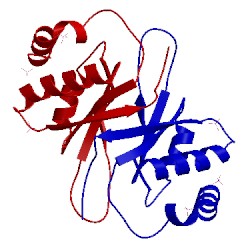 Image of CATH 4blg