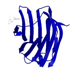 Image of CATH 4blj