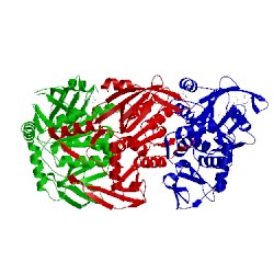 Image of CATH 4blt