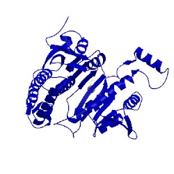 Image of CATH 4bnp