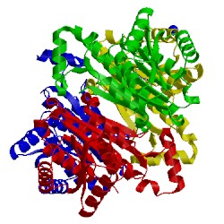 Image of CATH 4bo5