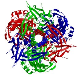 Image of CATH 4bom