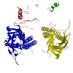 Image of CATH 4boo