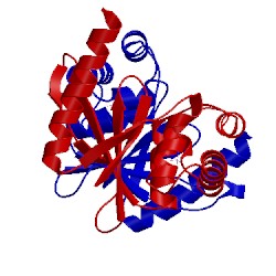 Image of CATH 4bop