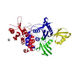 Image of CATH 4bos