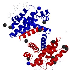 Image of CATH 4bpk