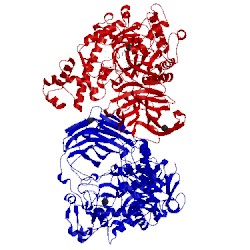 Image of CATH 4bq4
