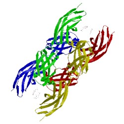 Image of CATH 4bqb