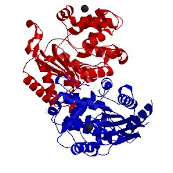 Image of CATH 4bqm