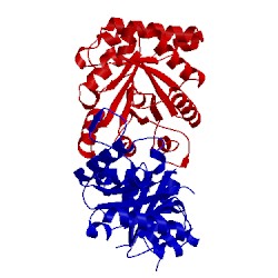 Image of CATH 4br1