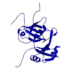 Image of CATH 4bs2