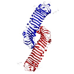 Image of CATH 4bsr