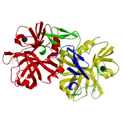 Image of CATH 4bti