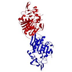 Image of CATH 4btv