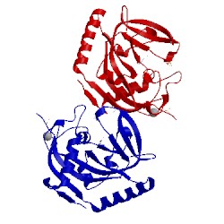 Image of CATH 4bu8