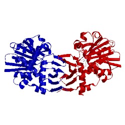 Image of CATH 4bv9