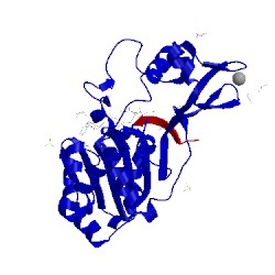 Image of CATH 4bvg