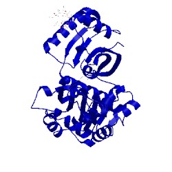 Image of CATH 4bvo