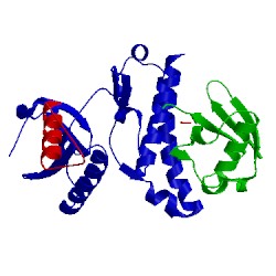 Image of CATH 4bvu