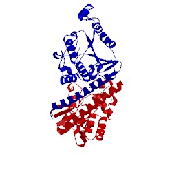 Image of CATH 4bwv
