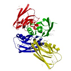 Image of CATH 4bww