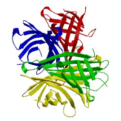 Image of CATH 4bx6