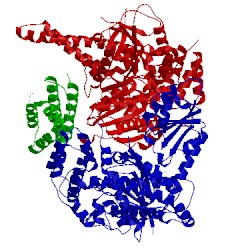 Image of CATH 4bx9