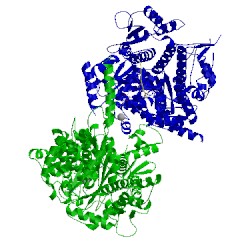 Image of CATH 4byf