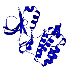 Image of CATH 4byj