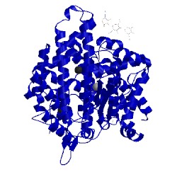 Image of CATH 4c2n