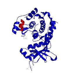Image of CATH 4c37