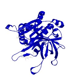 Image of CATH 4c43
