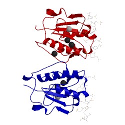 Image of CATH 4c4n
