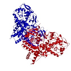 Image of CATH 4c50