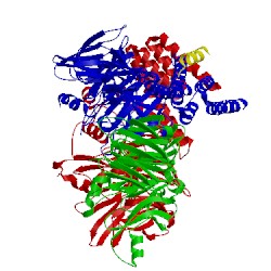 Image of CATH 4c95