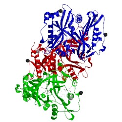Image of CATH 4cae