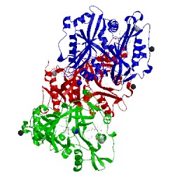 Image of CATH 4caf