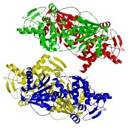 Image of CATH 4cbh