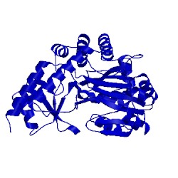 Image of CATH 4cbs