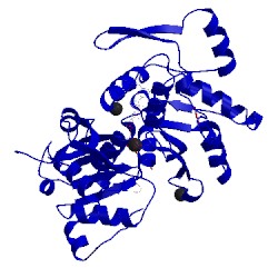 Image of CATH 4cbw