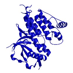 Image of CATH 4ccb