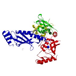 Image of CATH 4ccg