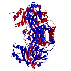 Image of CATH 4ccm