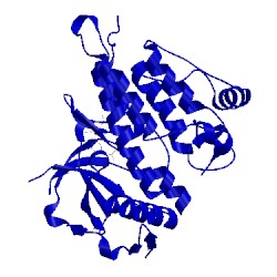 Image of CATH 4ccu