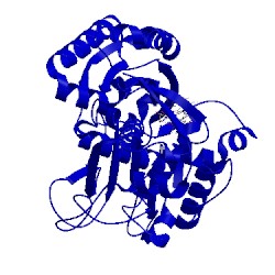 Image of CATH 4cd1