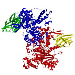 Image of CATH 4cdg