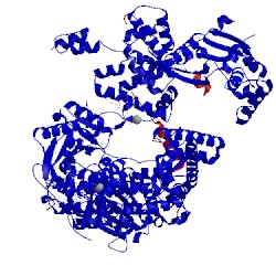 Image of CATH 4cei